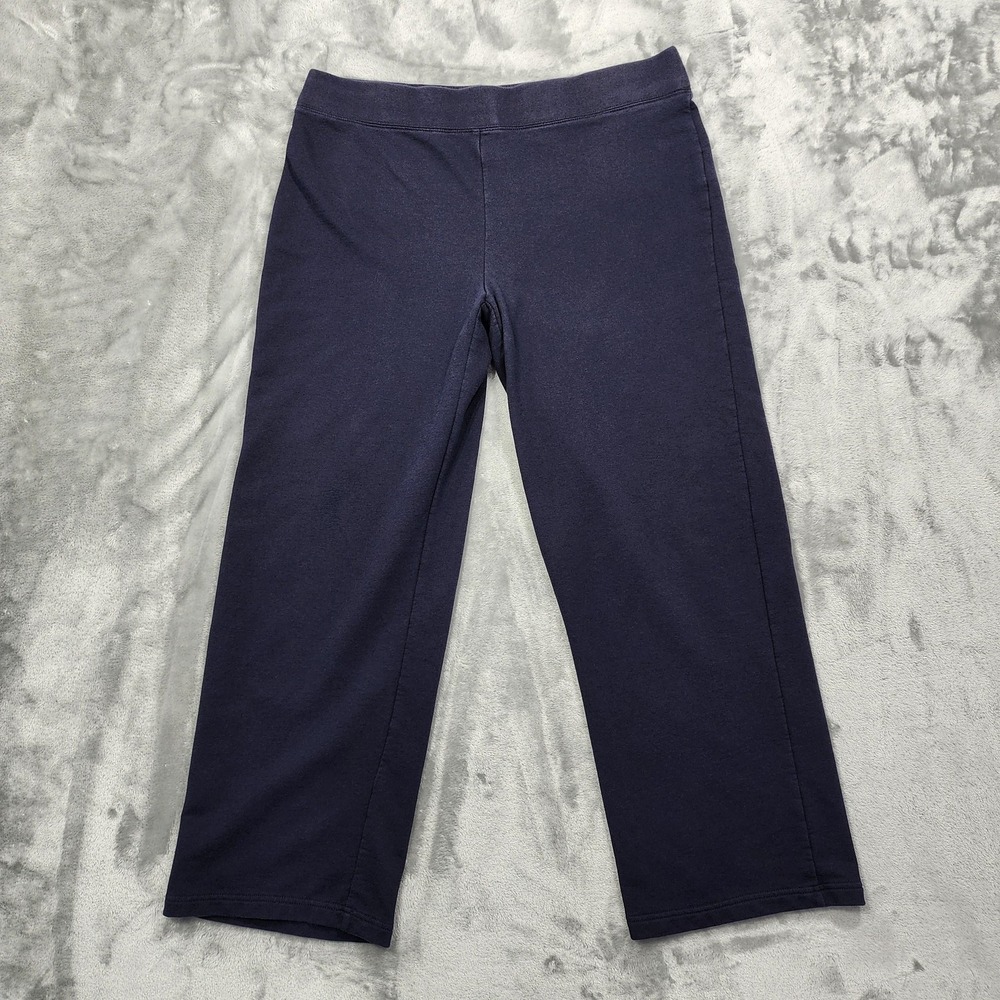 Sag Harbor Pants Womens L Blue‎ Jersey Knit Pull On Straight Leg Stretch Casual
